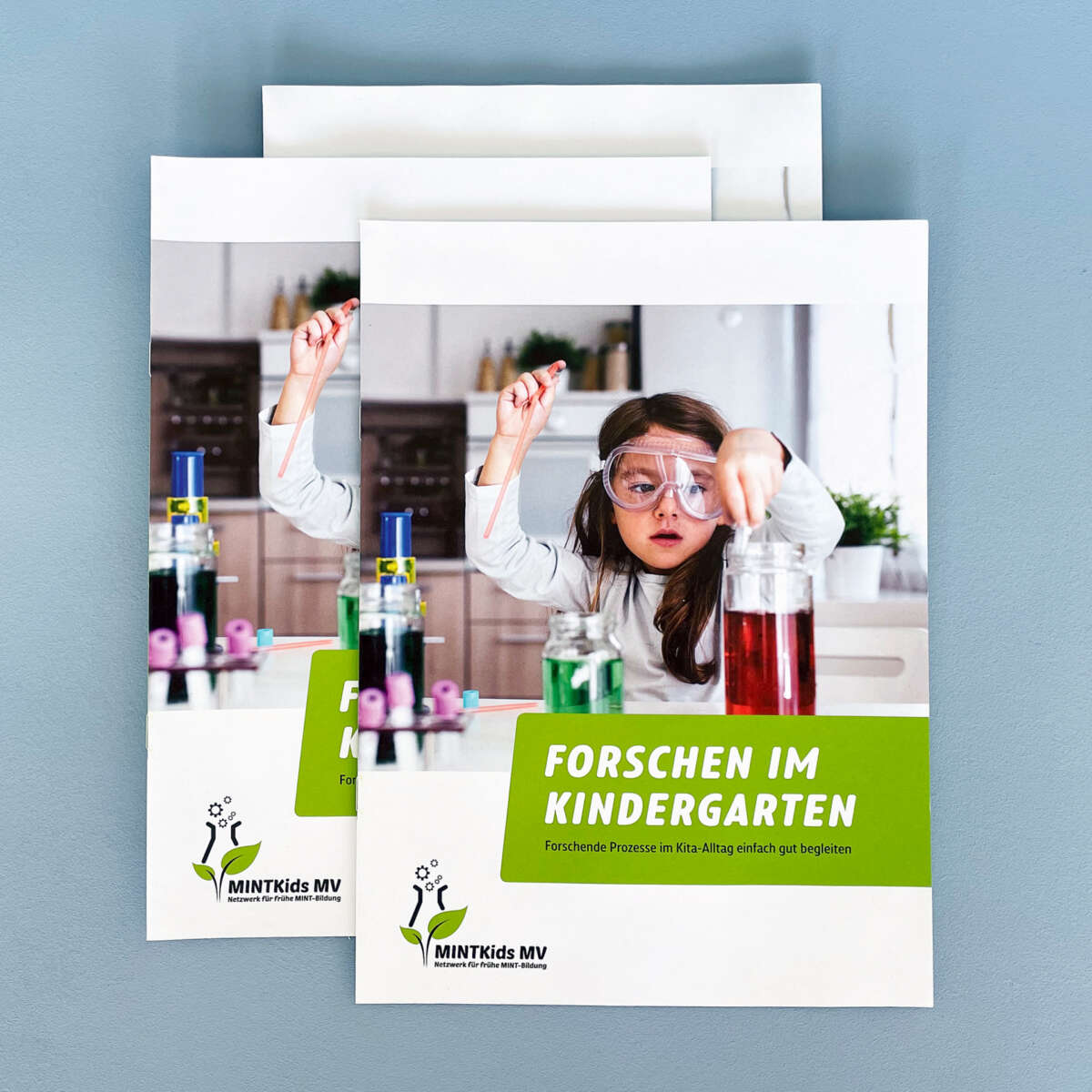 Design und Illustration für MINTKids MV-Broschüre »Forschen im Kindergarten«