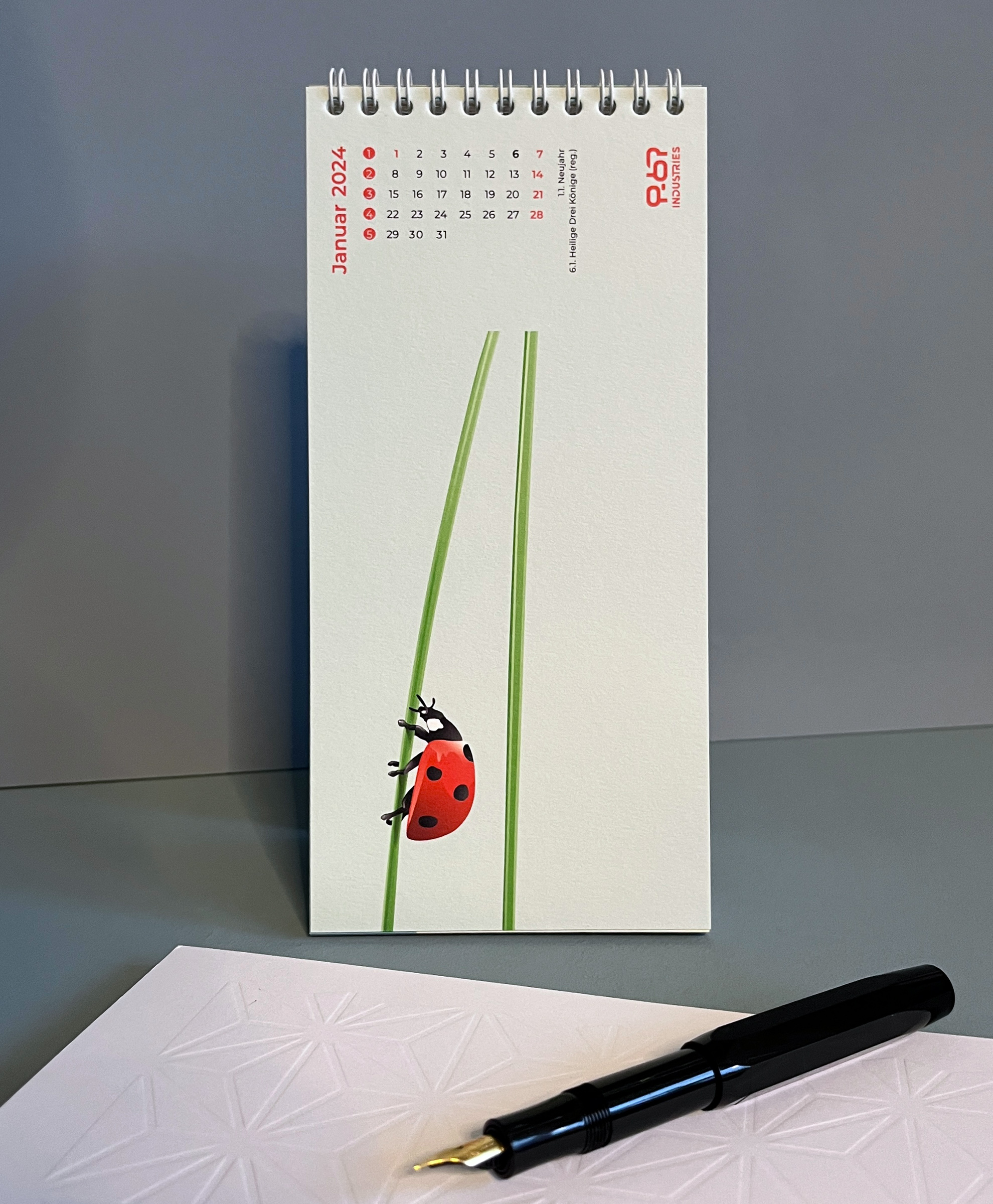 Ein Marienkäfer krabbelt einen Grashalm hinauf - Illustration von Steffi Meyer, P-67 Industries