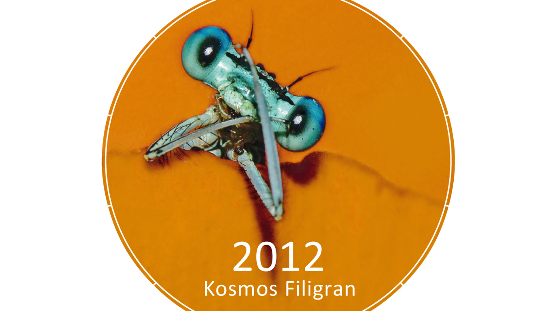 p-67-kalender2012-titel-1 p-67-kalender2012-titel-1
