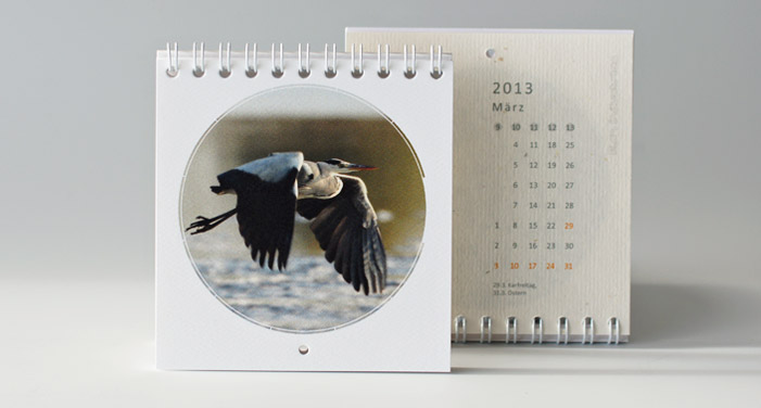 p-67-kalender2013-graureiher