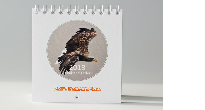 p-67-kalender2013-titel-seeadler