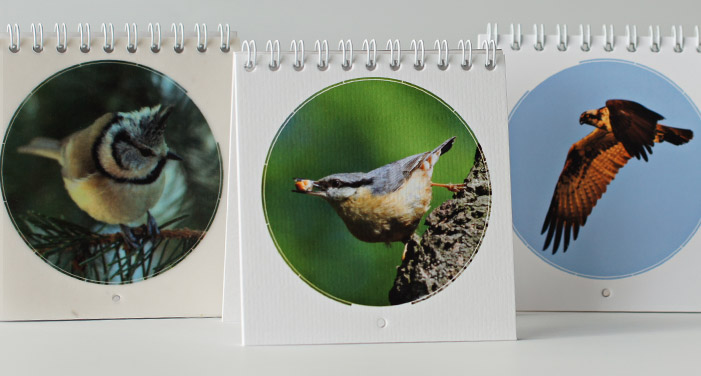 p-67-kalender2013-vogel