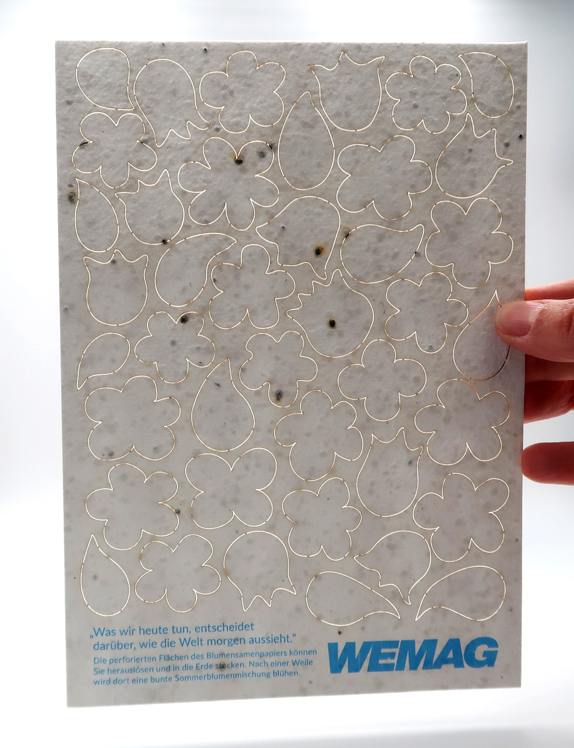 wemag_nb-2019_blumensamenpapier-mailing