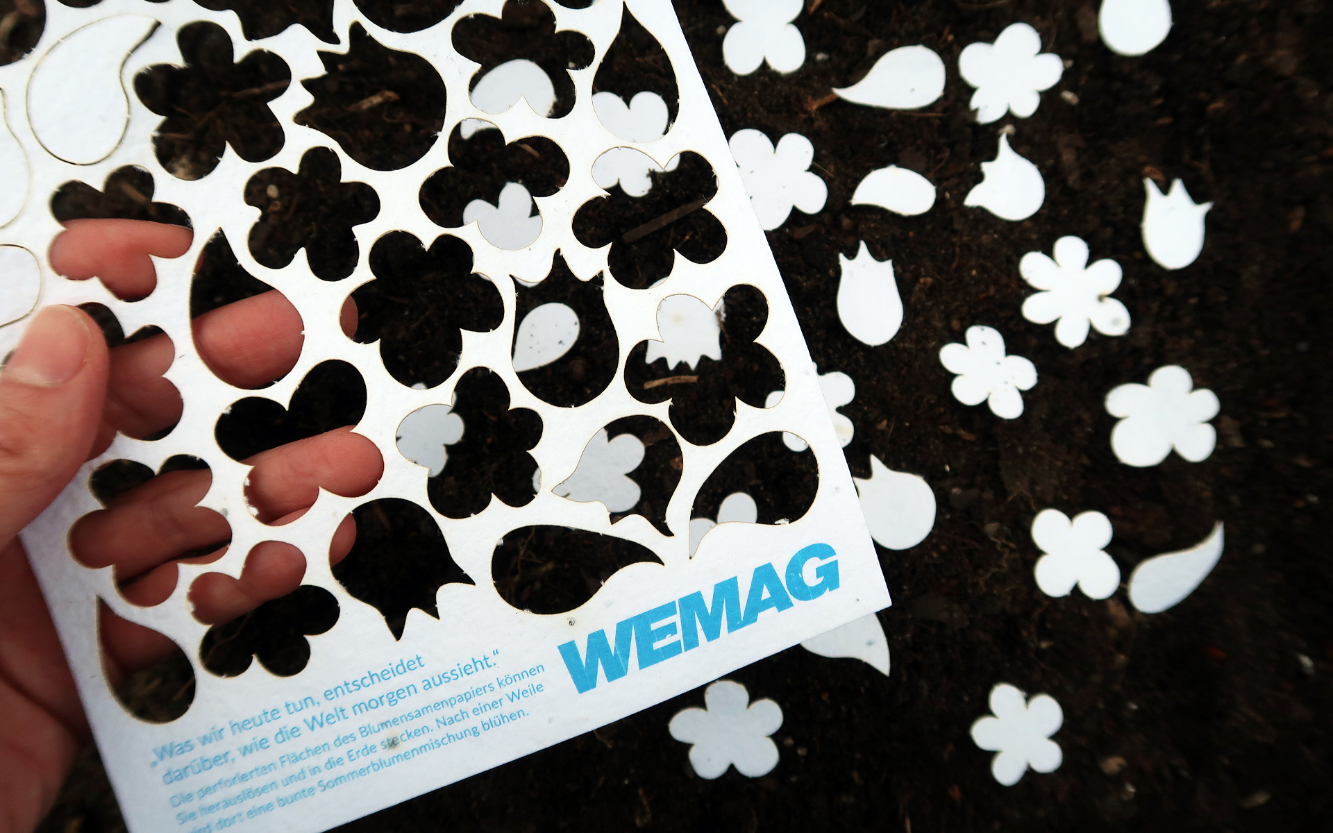 wemag_nb-2019_blumensamenpapier2