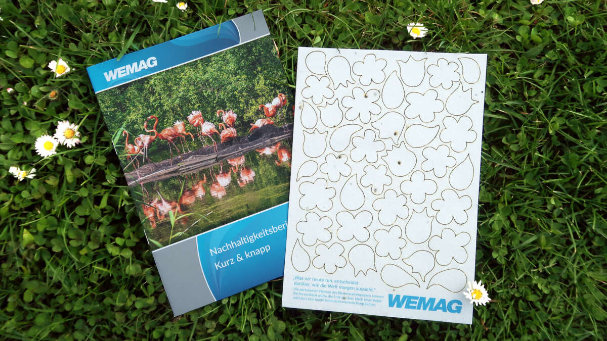 Mailing mit Blumensamen­papier P67 Industries